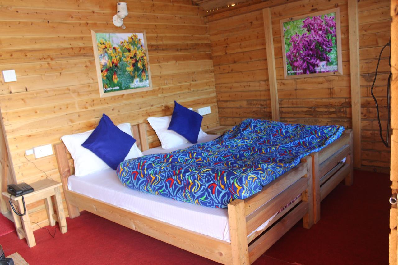 Blue Poppy Resorts Joshīmath Екстериор снимка