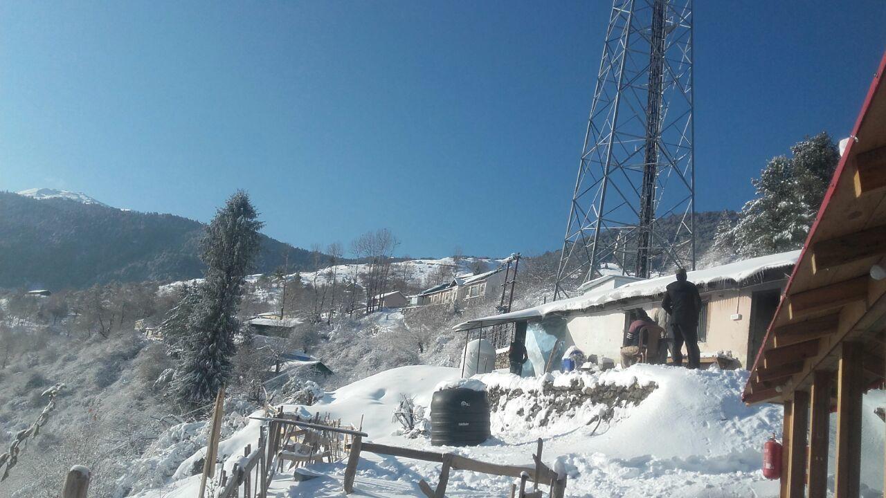 Blue Poppy Resorts Joshīmath Екстериор снимка